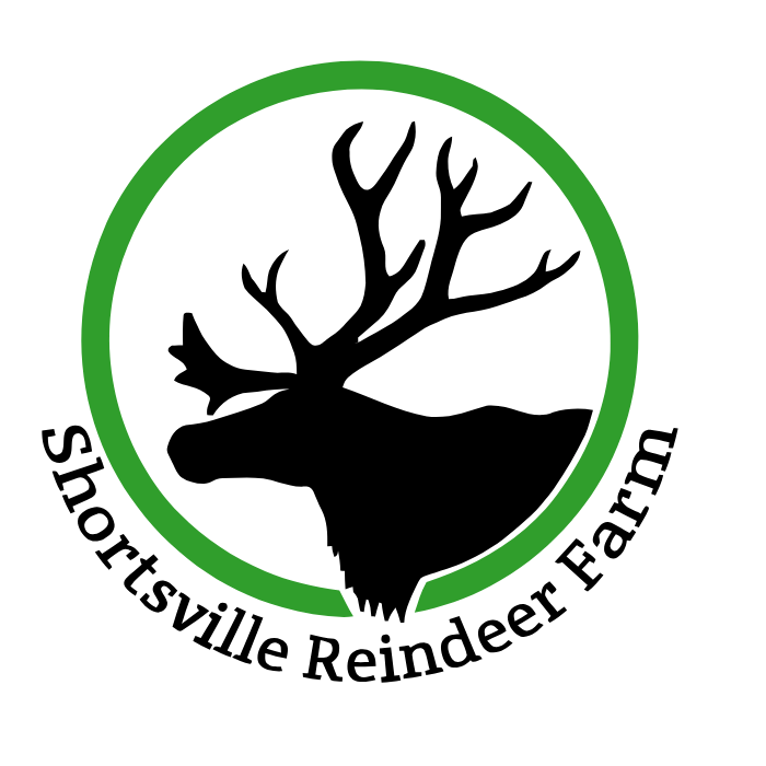 Bronze Sponsor